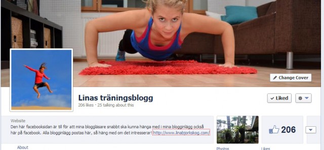 Linas träningsblogg på facebook