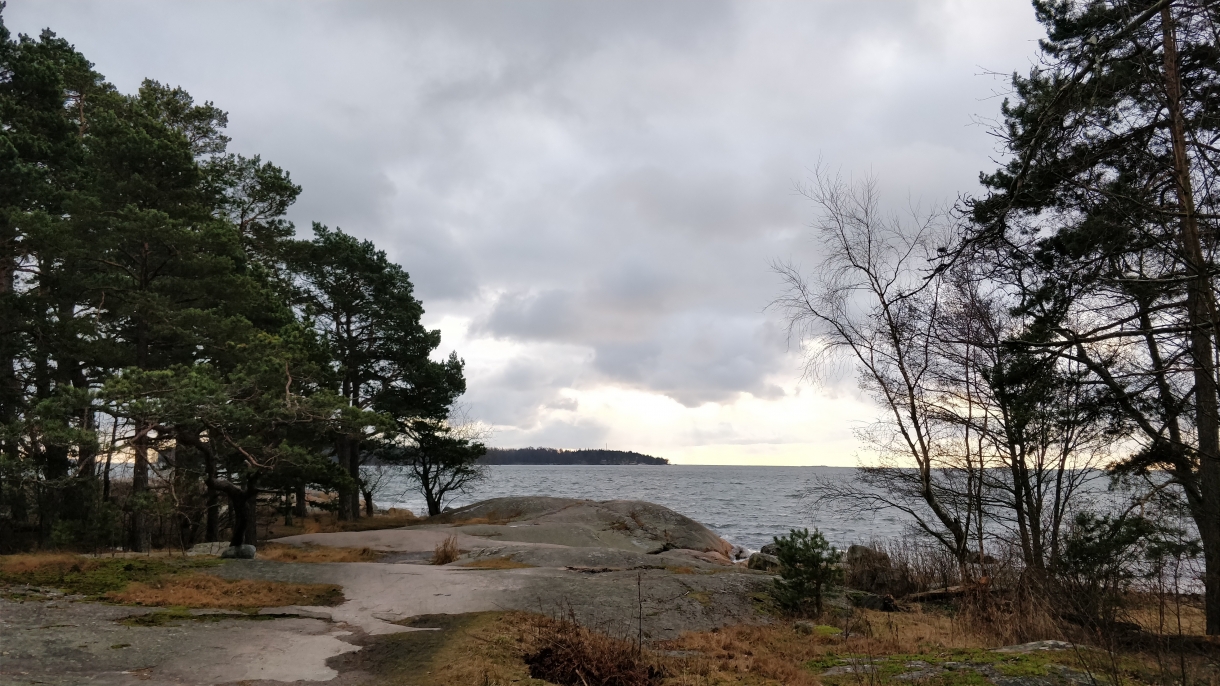 Hur Mycket är 10000 Steg I Km