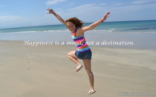Happiness is a mood, not a destination.