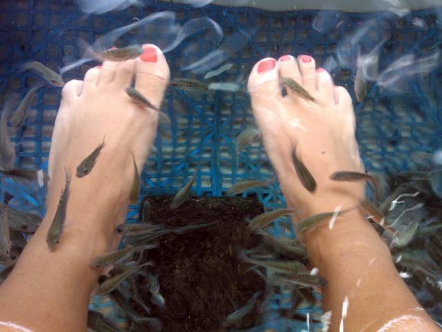 fiskspa fötter
