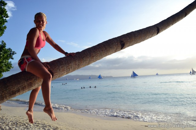 klättra i palm strand boracay klättra i palm strand boracay