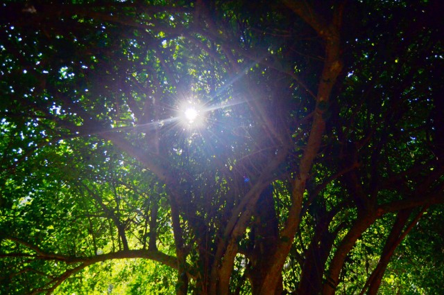 klättring klättring