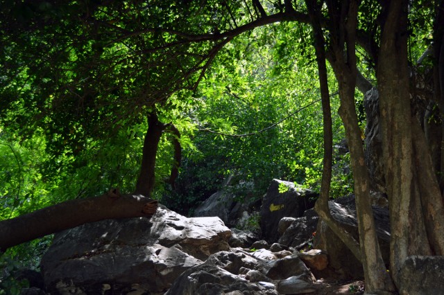 klättring1 klättring1