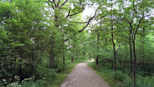 Fota med htc