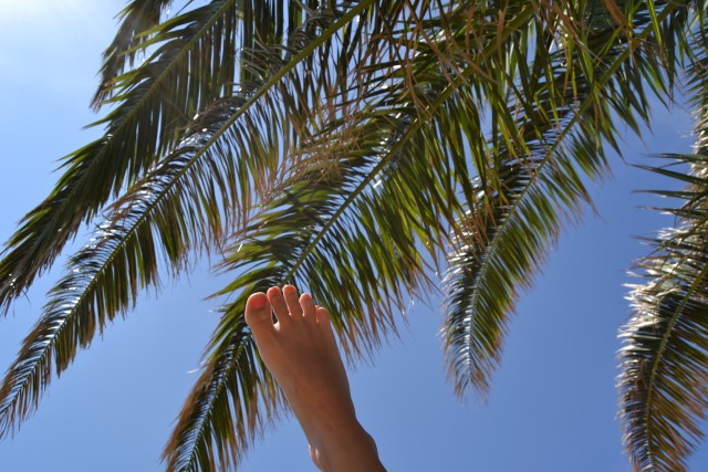 chilla under palmen