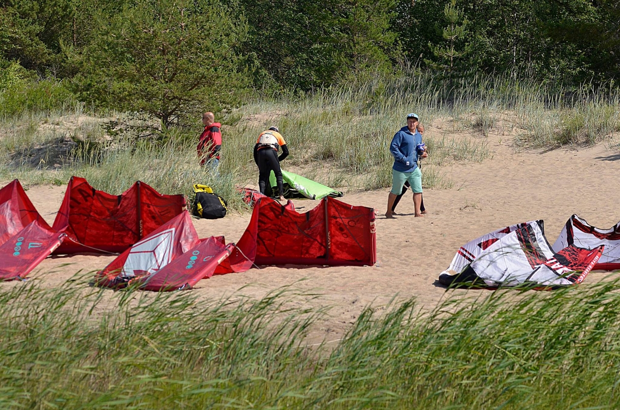 11696343_669133873222830_6631201212434913777_o